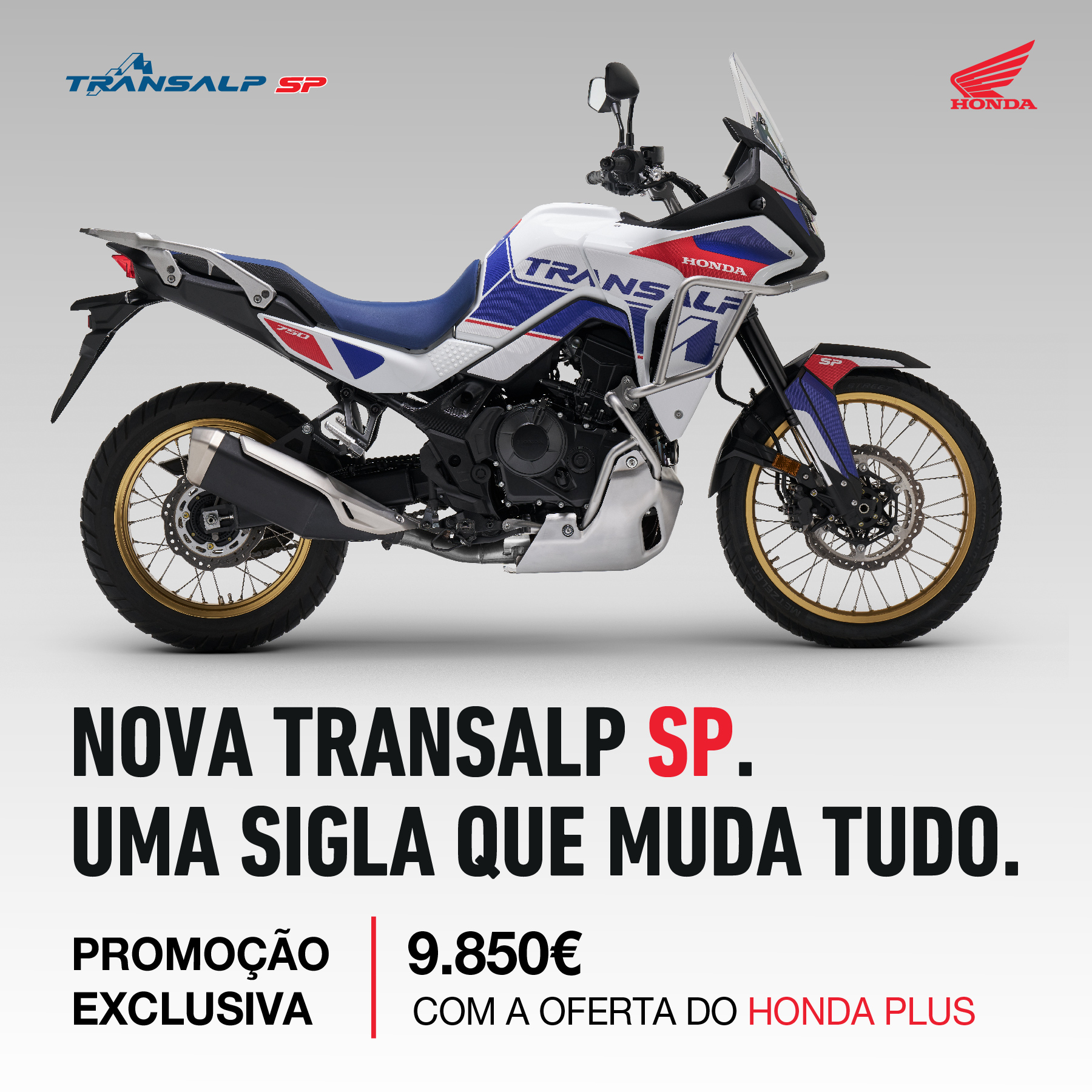 Campanha Transalp SP